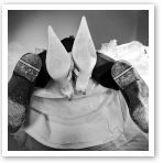 Autre Reg-Art, studio photo